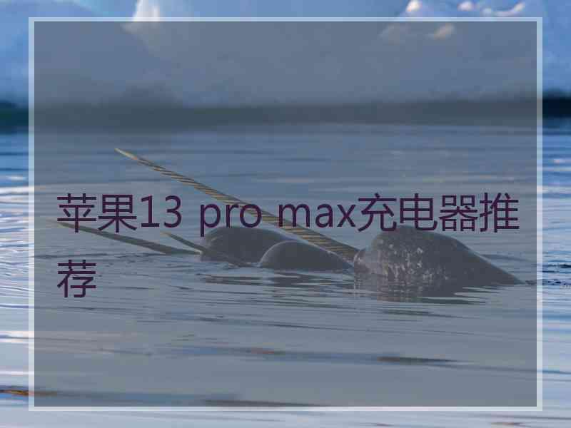 苹果13 pro max充电器推荐