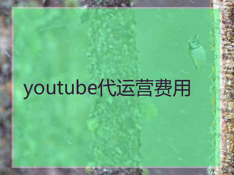 youtube代运营费用