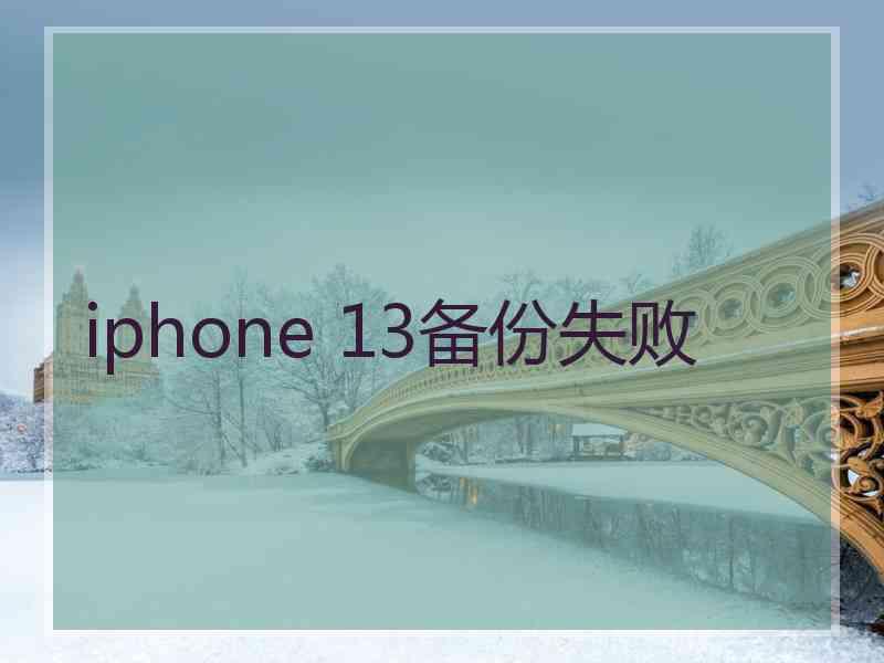 iphone 13备份失败