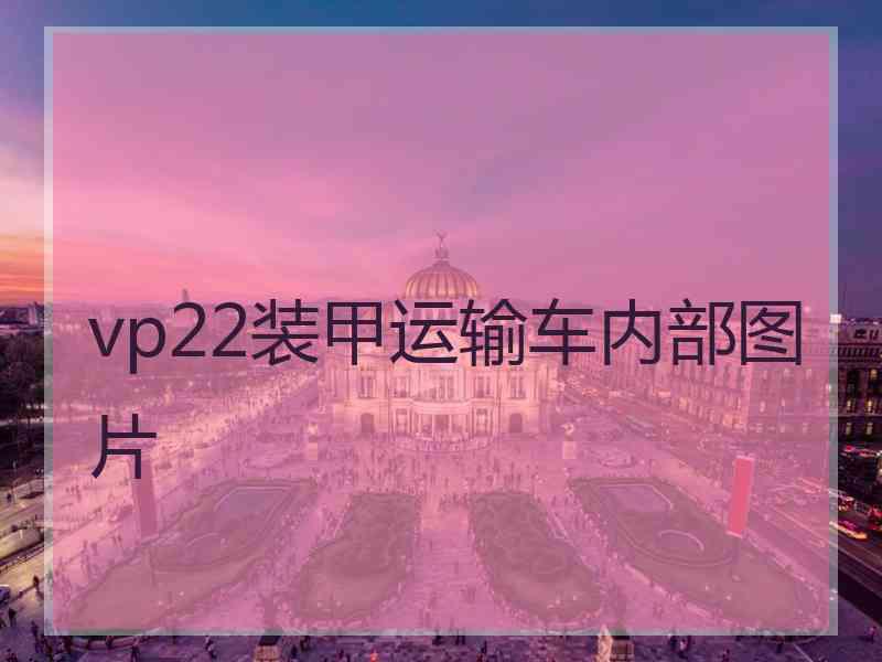 vp22装甲运输车内部图片