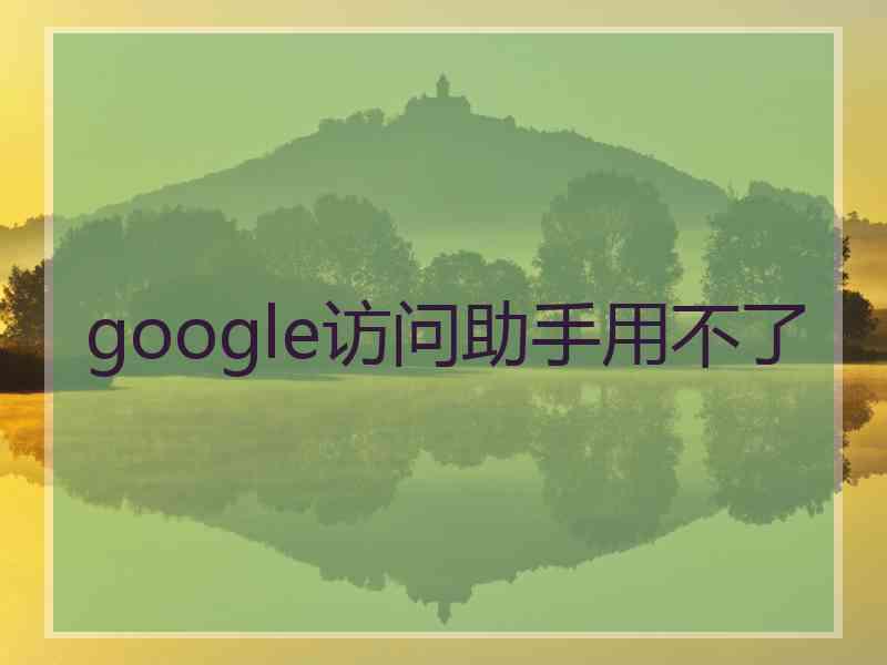 google访问助手用不了