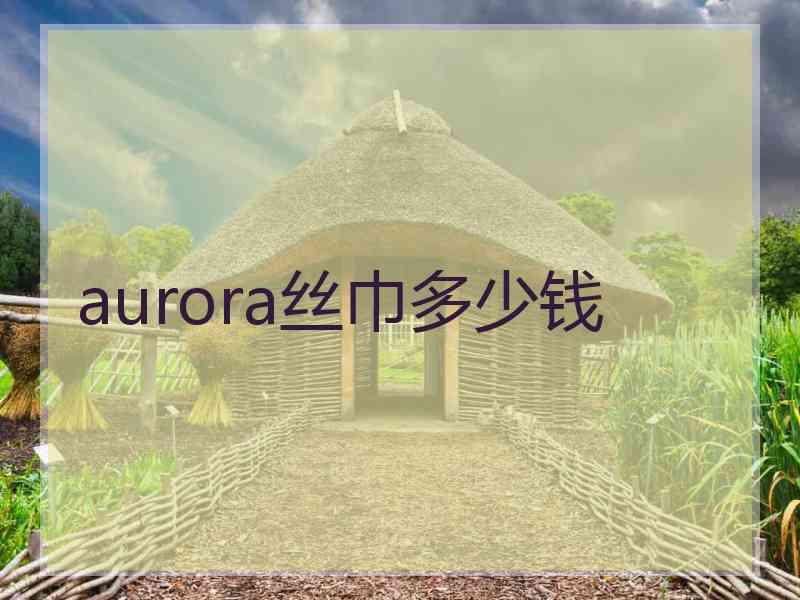 aurora丝巾多少钱