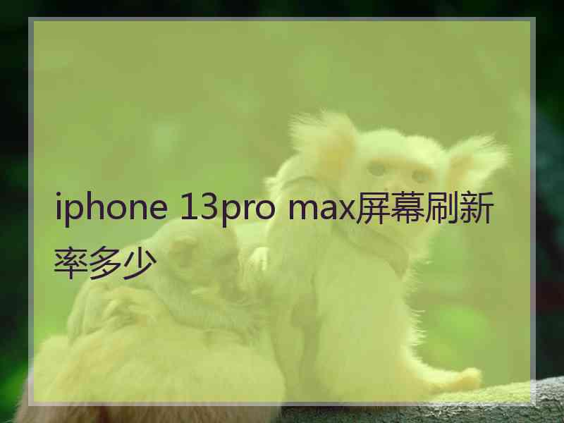 iphone 13pro max屏幕刷新率多少