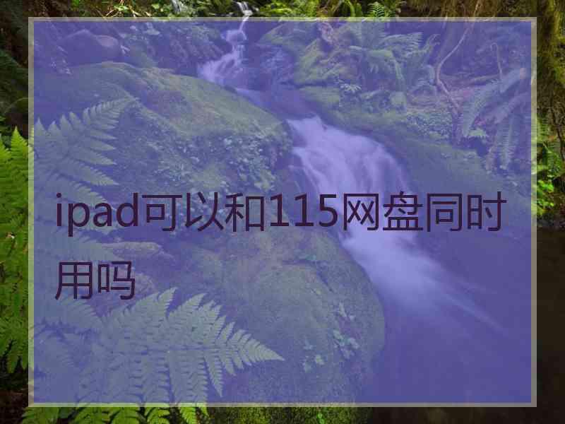 ipad可以和115网盘同时用吗