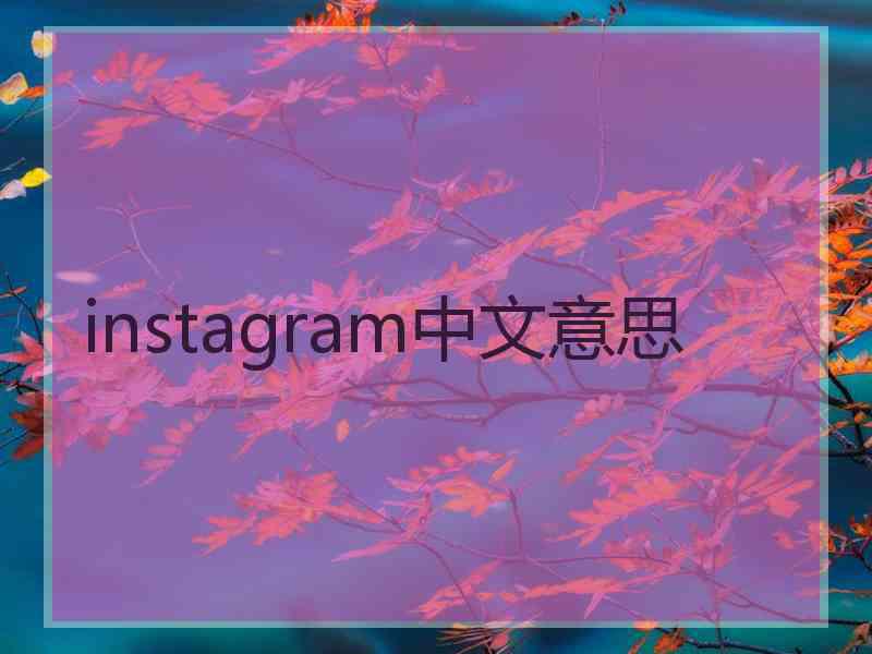 instagram中文意思