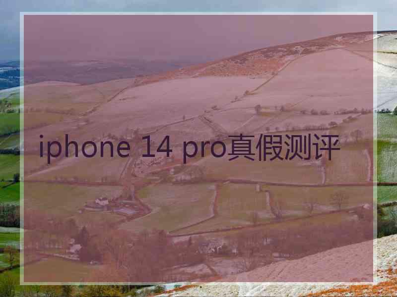 iphone 14 pro真假测评