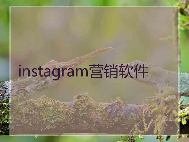 instagram营销软件