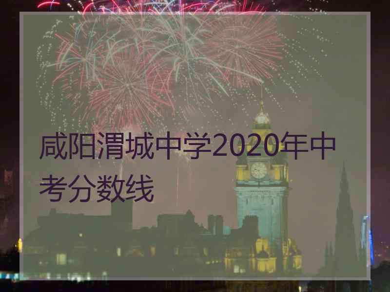 咸阳渭城中学2020年中考分数线