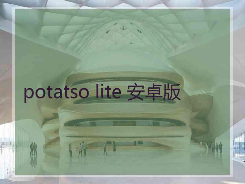 potatso lite 安卓版