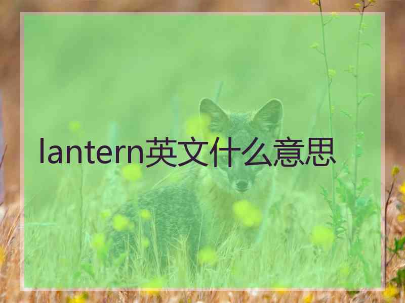 lantern英文什么意思