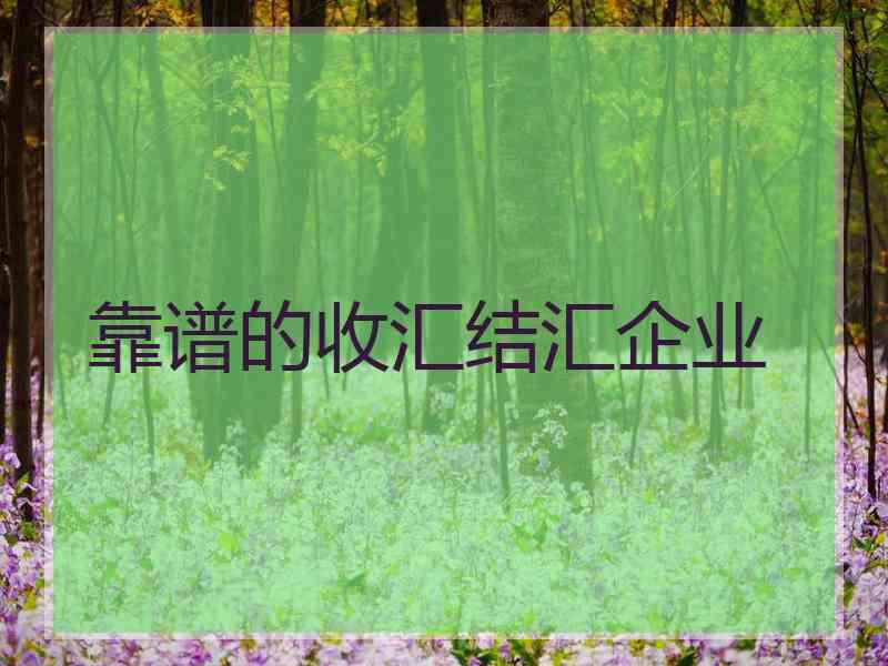 靠谱的收汇结汇企业