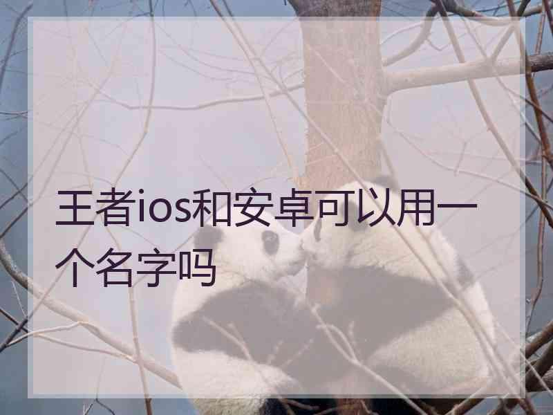 王者ios和安卓可以用一个名字吗