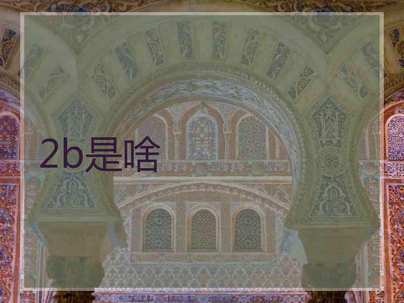 2b是啥