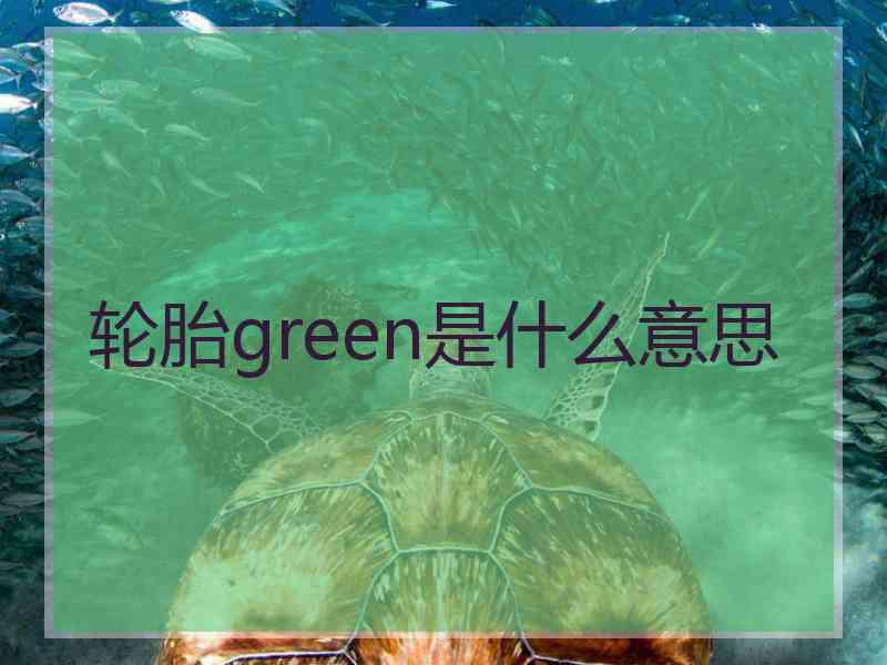 轮胎green是什么意思