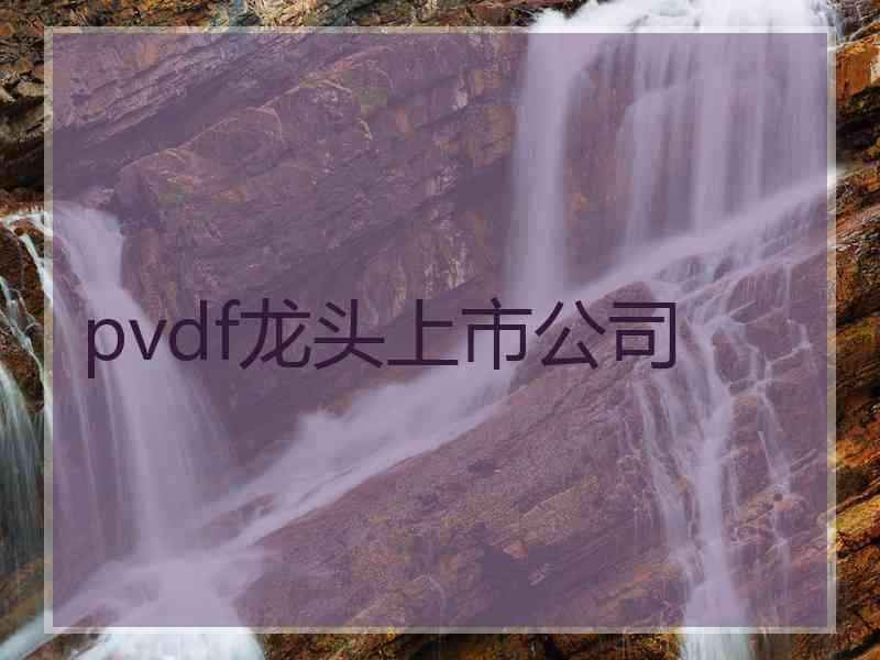 pvdf龙头上市公司