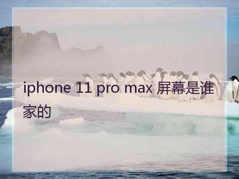 iphone 11 pro max 屏幕是谁家的