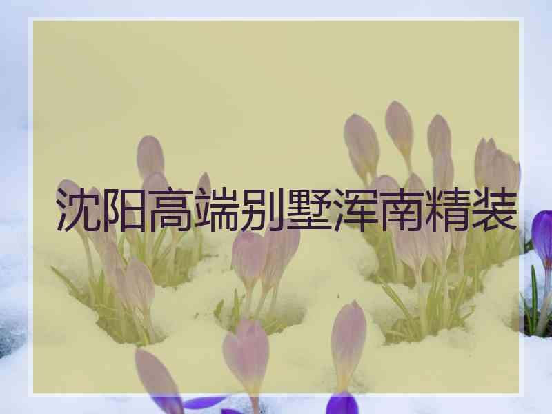 沈阳高端别墅浑南精装