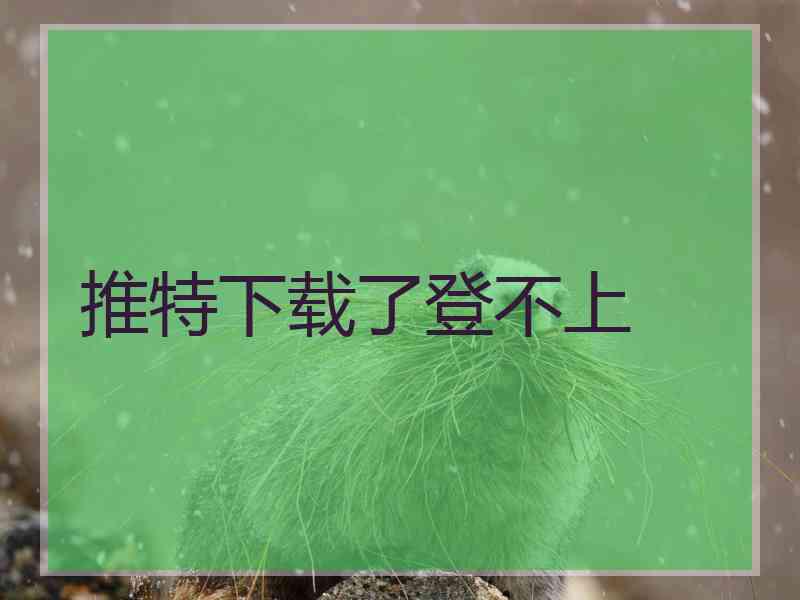 推特下载了登不上