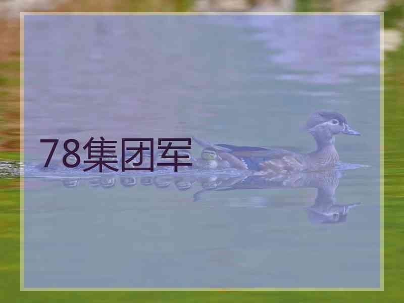 78集团军