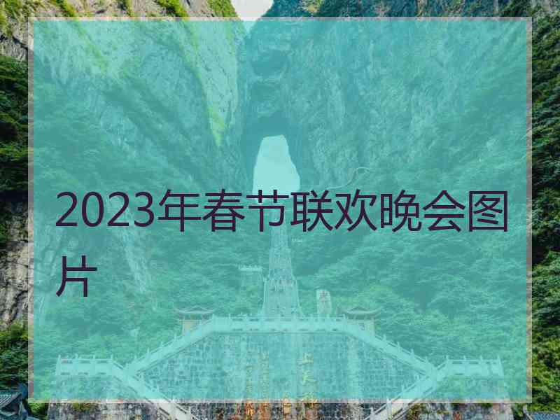 2023年春节联欢晚会图片