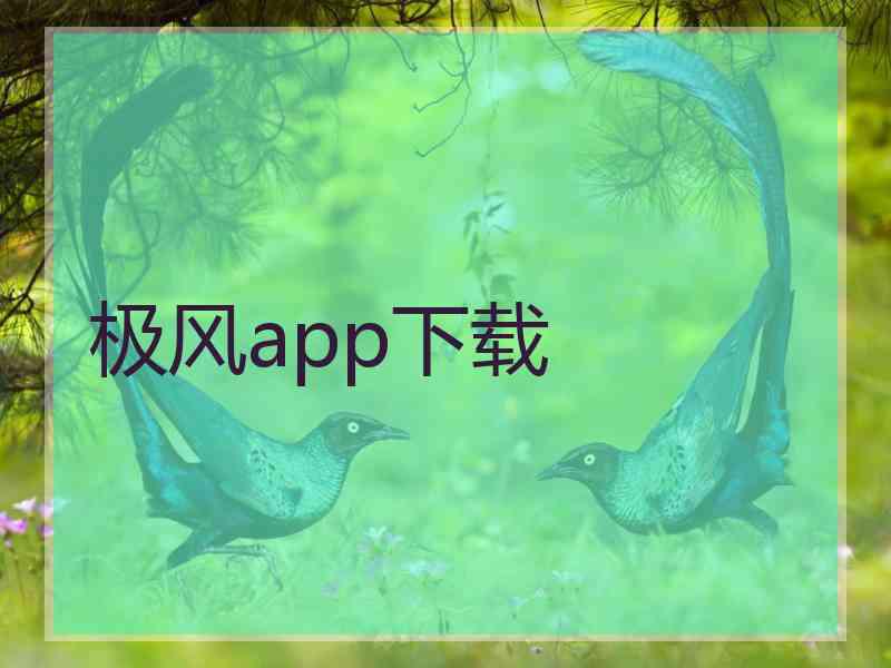 极风app下载