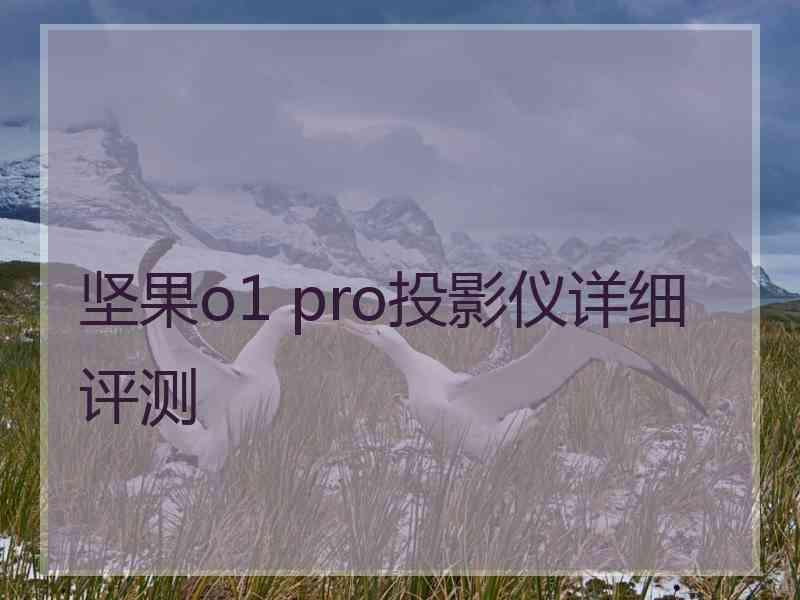 坚果o1 pro投影仪详细评测