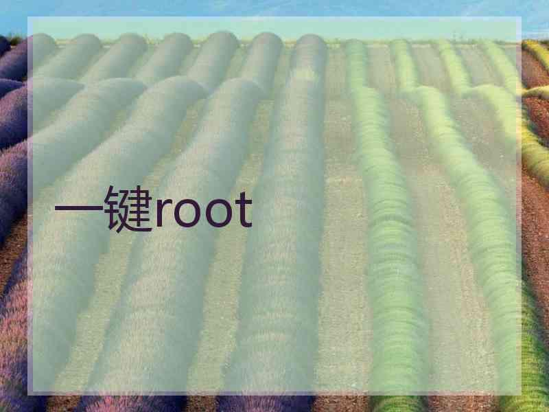 一键root