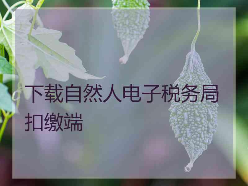 下载自然人电子税务局扣缴端