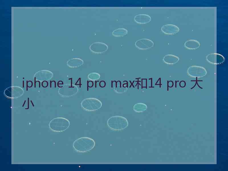 iphone 14 pro max和14 pro 大小