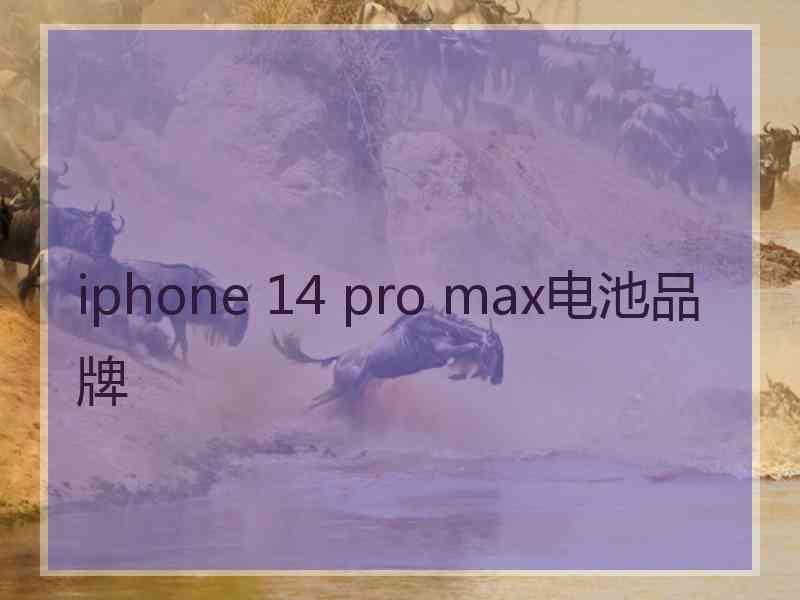 iphone 14 pro max电池品牌