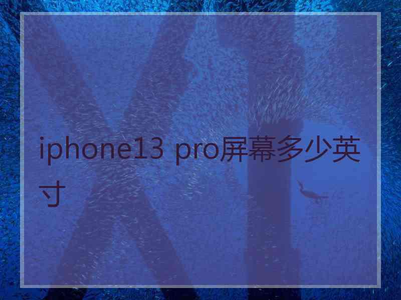 iphone13 pro屏幕多少英寸