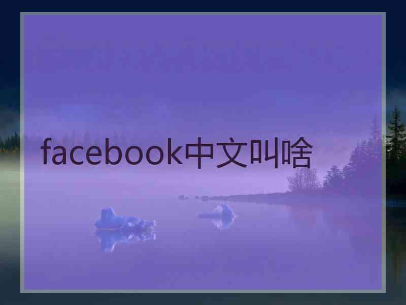 facebook中文叫啥