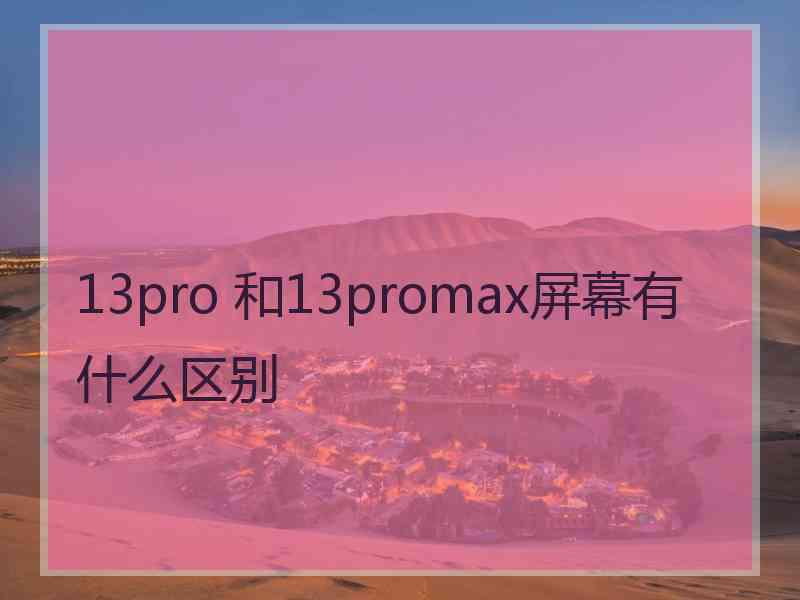 13pro 和13promax屏幕有什么区别