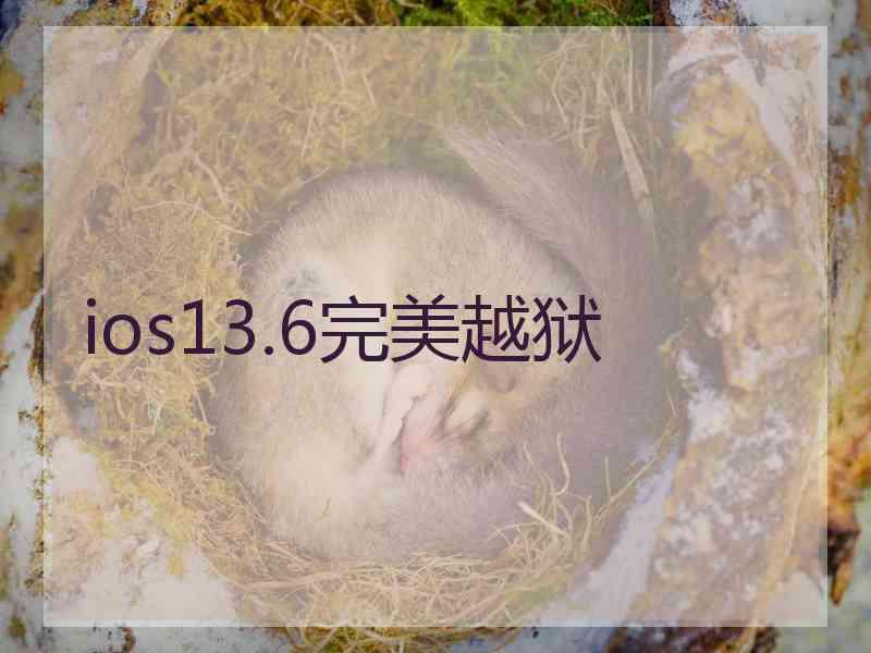 ios13.6完美越狱