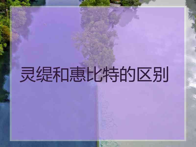 灵缇和惠比特的区别