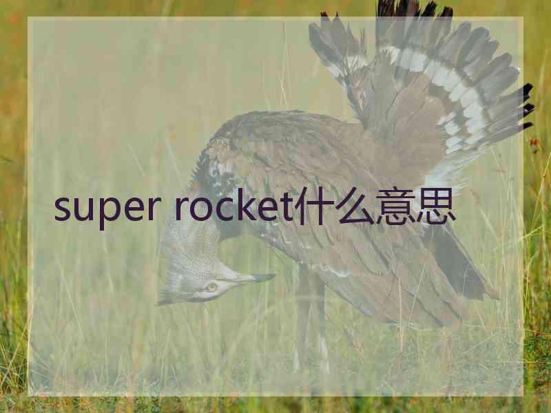 super rocket什么意思