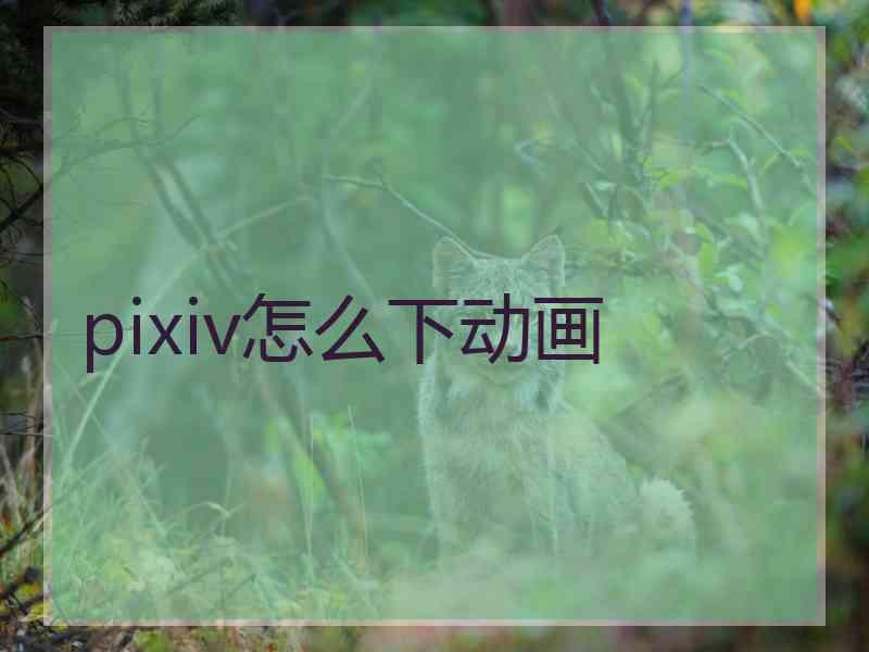 pixiv怎么下动画