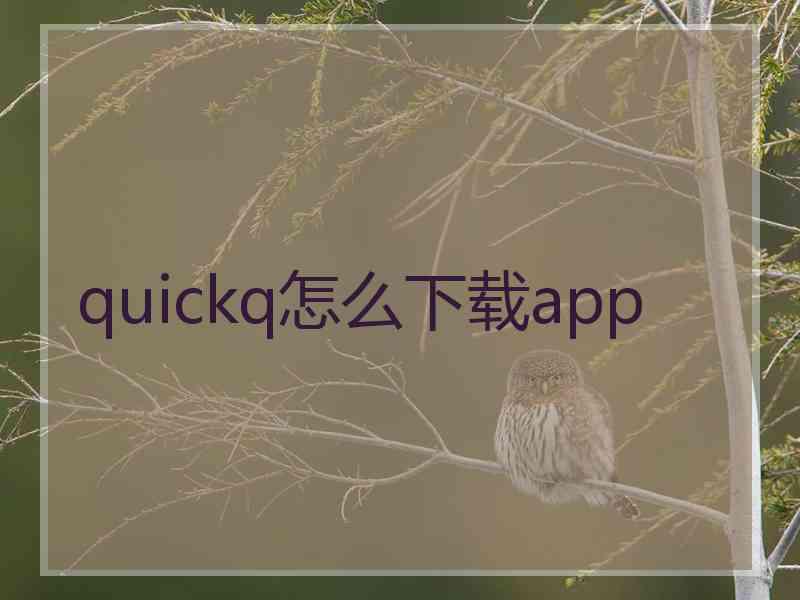 quickq怎么下载app