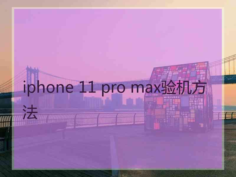 iphone 11 pro max验机方法