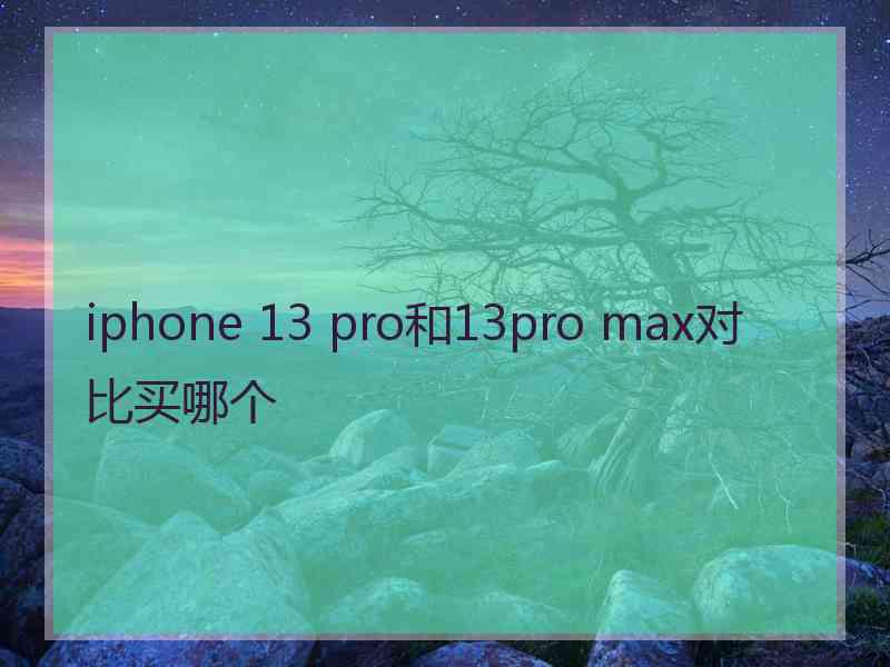 iphone 13 pro和13pro max对比买哪个