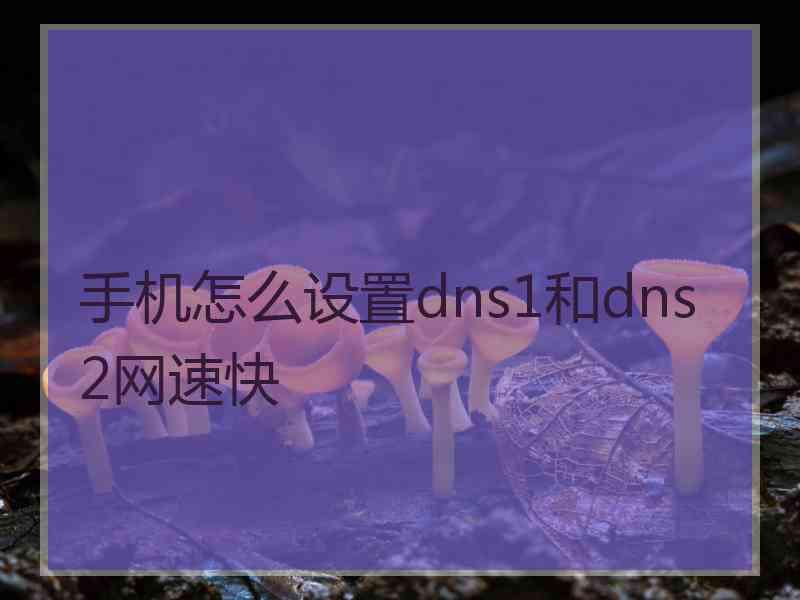 手机怎么设置dns1和dns2网速快