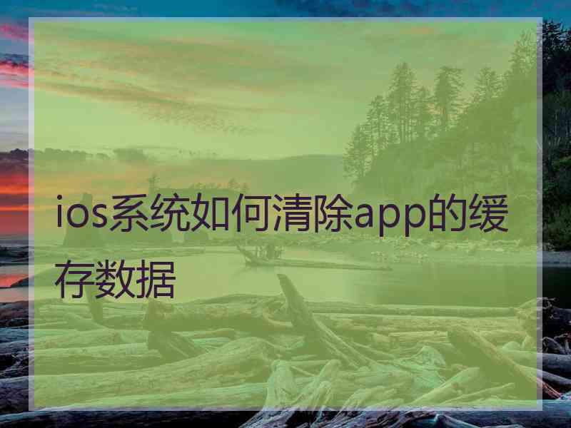 ios系统如何清除app的缓存数据