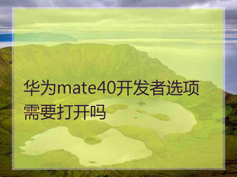 华为mate40开发者选项需要打开吗