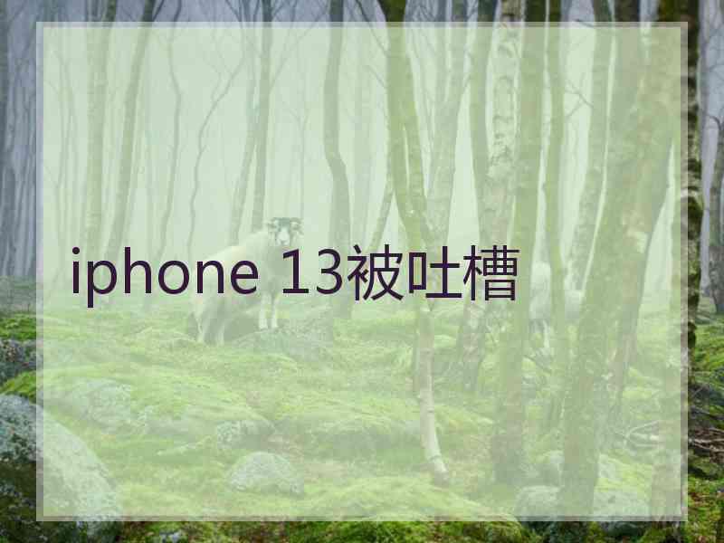 iphone 13被吐槽