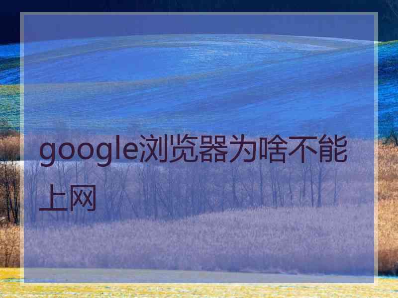 google浏览器为啥不能上网