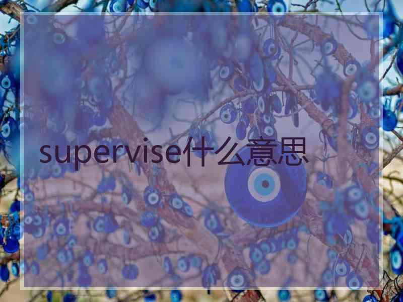 supervise什么意思