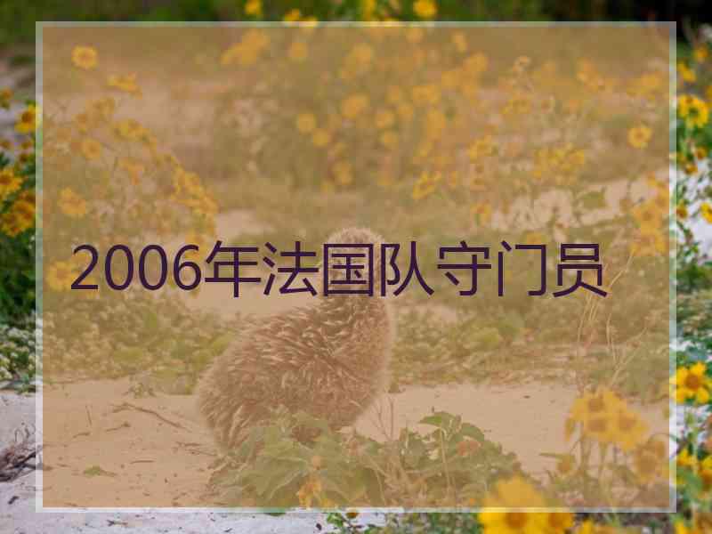 2006年法国队守门员