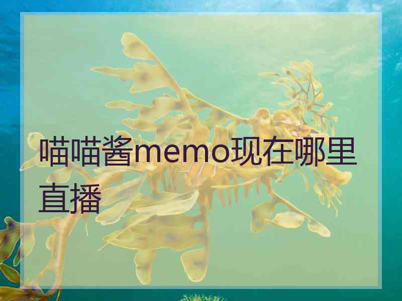 喵喵酱memo现在哪里直播