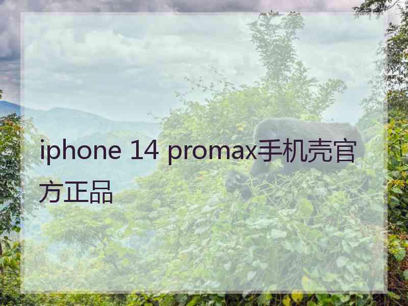 iphone 14 promax手机壳官方正品