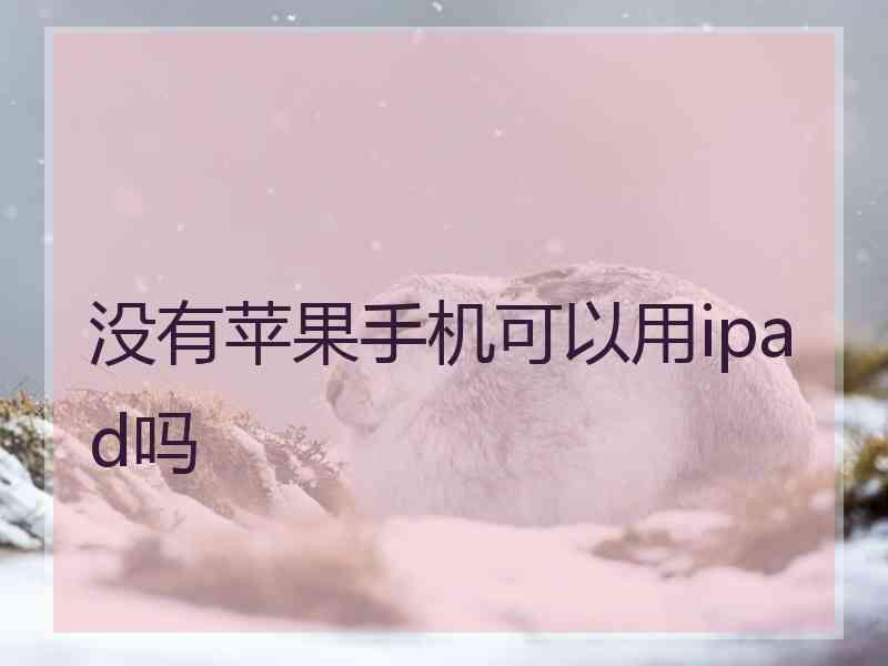 没有苹果手机可以用ipad吗